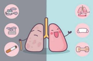 艾樂替尼體內(nèi)外的研究