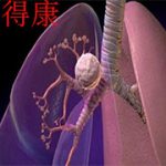 關(guān)于艾樂替尼的體外和體內(nèi)研究